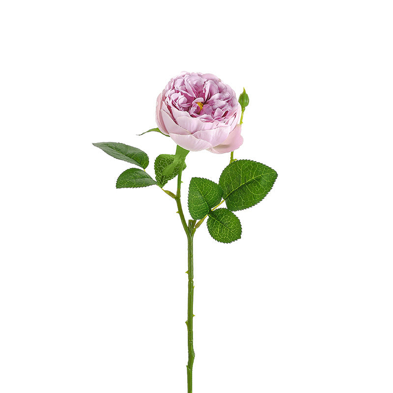 Single Austin Roses(pack of 36) - Realistic Silk Peony Roses, Faux Flower Arrangement for Vase, Wedding, Home Decor