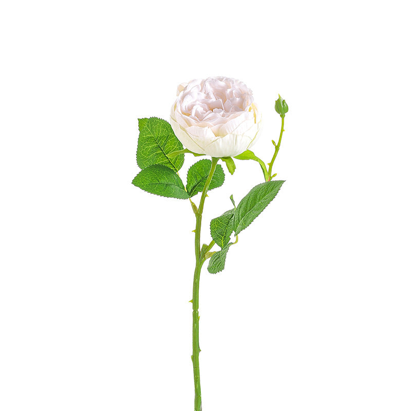 Single Austin Roses(pack of 36) - Realistic Silk Peony Roses, Faux Flower Arrangement for Vase, Wedding, Home Decor
