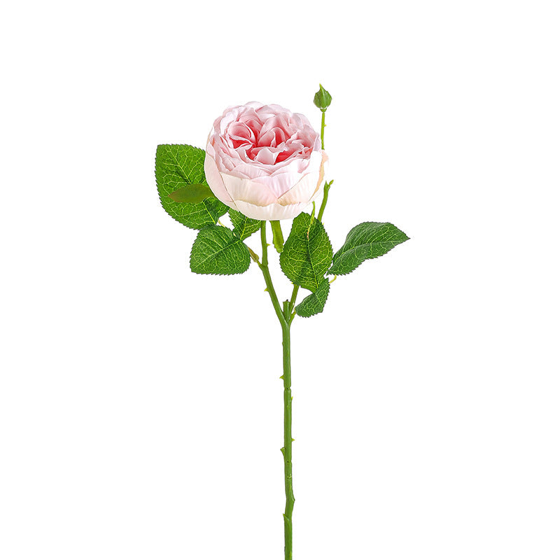 Single Austin Roses(pack of 36) - Realistic Silk Peony Roses, Faux Flower Arrangement for Vase, Wedding, Home Decor