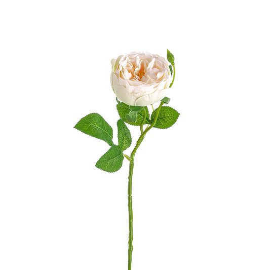 Single Austin Roses（pack of 36) - Realistic Silk Peony Roses, Faux Flower Arrangement for Vase, Wedding, Home Decor